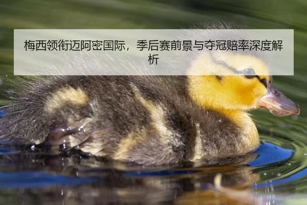 梅西领衔迈阿密国际，季后赛前景与夺冠赔率深度解析