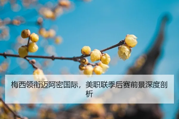 mei-xi-ling-xian-mai-a-mi-guo-ji-mei-zhi-lian-ji-hou-sai-qian-jing-shen-du-pou-xi-2-107.jpg