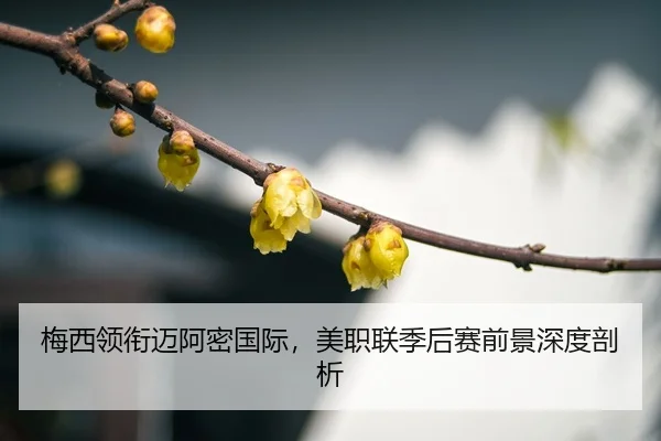 mei-xi-ling-xian-mai-a-mi-guo-ji-mei-zhi-lian-ji-hou-sai-qian-jing-shen-du-pou-xi-3-672.jpg