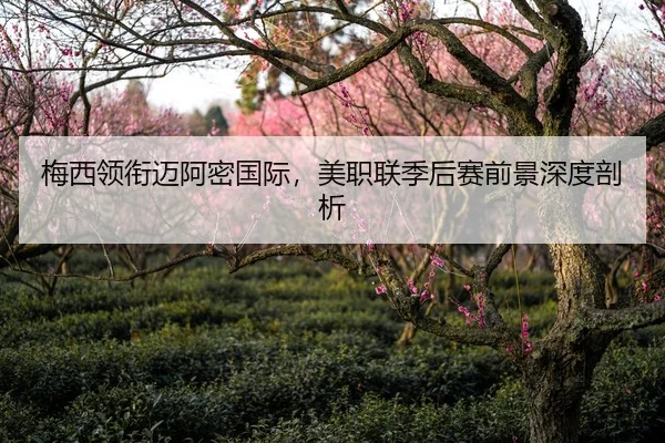 梅西领衔迈阿密国际，美职联季后赛前景深度剖析